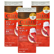 CIELO 宣若 EX 染髮霜 簡單一按 白髮用, 3C 焦糖棕, 3盒