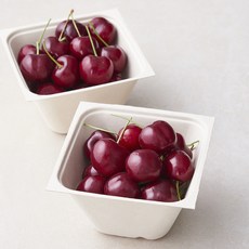아주마 산지직송 국내산 영동 체리, 250g, 2개