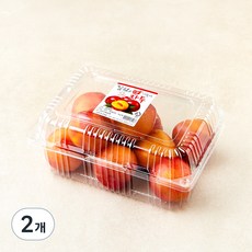 김천앤 내몸에 당도선별 자두 특대, 1kg, 2개