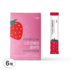 디엔 콤부차 스트로베리, 5g, 15개입, 6개