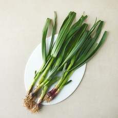 국내산 풋마늘 잎마늘, 1개, 250g