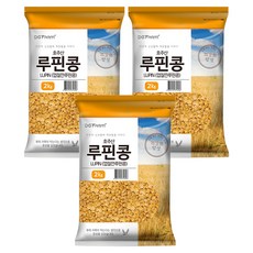 대구농산 건강한밥상 루핀콩, 2kg, 3개