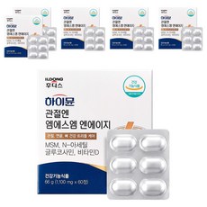 일동후디스 하이뮨 관절엔 엠에스엠 엔에이지 66g, 60정, 6개