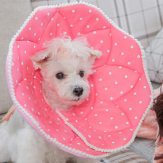 Pet Daily 寵物粉色花朵頸圈 頸部保護套 M, 1個