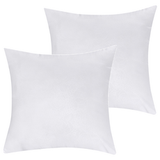 AHOYE 厚磅抱枕芯 沙發靠枕 枕頭 200g 2個, 純白, 1組
