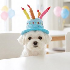 딩동펫 반려동물 생일파티 케이크 모자, 블루, 1개