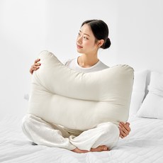 아임리빙 빨아쓰는 고밀도 알러지 워싱 베개, 아이보리, 1개