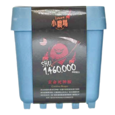 台灣 iPlant 積木農場盆栽, 索命死神椒