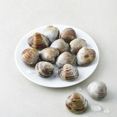 생물 백합조개, 1개, 600g