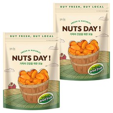 넛츠데이 건살구, 600g, 2개