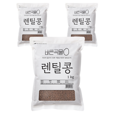 두보식품 바른곡물 렌틸콩, 1kg, 3개