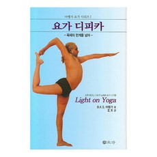 瑜伽之光：超越身體的極限, B.K.S.艾揚格, 禪瑜伽