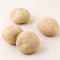 곰곰 국내산 감자, 500g, 1개