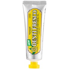 탐사 뉴 덴티프레스코 레몬민트향 구취케어 치약, 100g, 1개