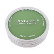 PANPASTEL 粉彩餅 660.5氧化鉻綠 9ml, 1色, 1個