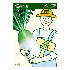 아시아종묘 김장무 씨앗 500립, 1개