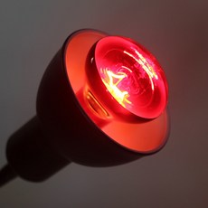 sparkzoo 紅外線燈 100W, 1個, 混合顏色