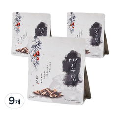 한반도 대추칩, 50g, 9개