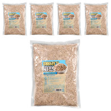 해바라기씨, 1kg, 5개