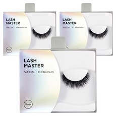 THE FACE SHOP 菲詩小舖 Daily Lash Master 人造假睫毛 10號, 3個