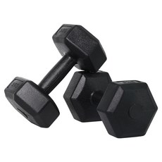 벨리카 홈짐 베이직 육각 덤벨 블랙 DB-01, 3kg, 2개