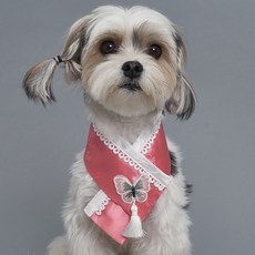 DOG-i 狗狗韓服吊飾圍巾, 珊瑚粉, 1個