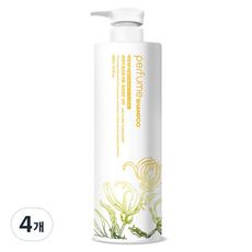 박준뷰티랩 로맨틱 플로럴 퍼퓸 일랑일랑 샴푸, 4개, 600ml