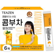 티젠 콤부차 유자, 5g, 50개입, 6개