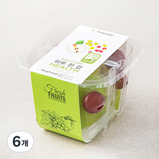 푸드팩토리 하루 한 컵 헬스, 150g, 1개입, 6개