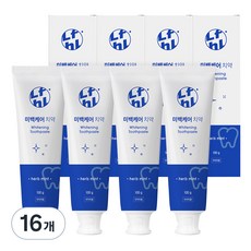 라이프홀릭 미백케어 치약, 100g, 16개