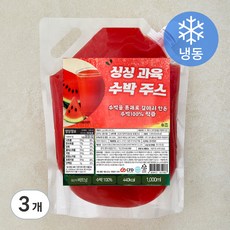 지엔씨푸드 싱싱 과육 수박주스 (냉동), 3개, 1L