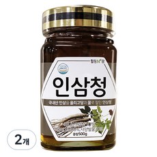 힐링앤팜 인삼청, 500g, 2개