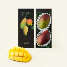 자이언트 애플망고 2개입, 950g, 1개