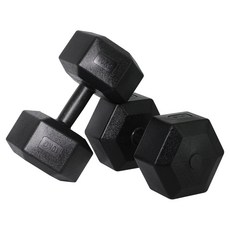 벨리카 홈짐 베이직 육각 덤벨 블랙 DB-01, 10kg, 2개