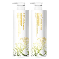 박준뷰티랩 로맨틱 플로럴 퍼퓸 일랑일랑 샴푸, 2개, 600ml