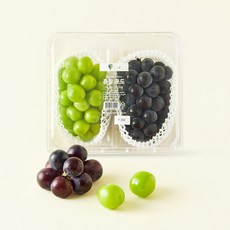 당도선별 샤인머스캣 거봉 혼합포도, 1.2kg, 1개