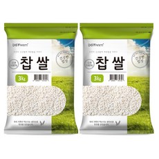 대구농산 건강한밥상 찹쌀, 3kg, 2개