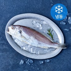 곰곰 국내산 손질 백조기 (냉동), 1개, 220g