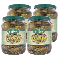 LIDYA 莉迪亞 蒔蘿醋漬酸瓜, 670公克, 360公克固形量, 土耳其原產, 720ml, 4罐