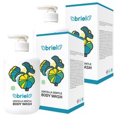 디보트브리엘 병풀 젠틀 바디워시 플레쉬허그향, 2개, 500ml