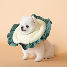 Choco Pet House 向日葵頸圈 S, 混色, 1個