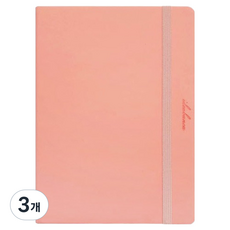 Bfancy My Day 精裝硬殼可彎折綁帶萬年手帳, 寶寶粉, 3個