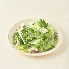 팜에이트 친환경 인증 채소 샐러드, 500g, 1개