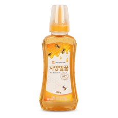 대웅 사양벌꿀, 500g, 1개
