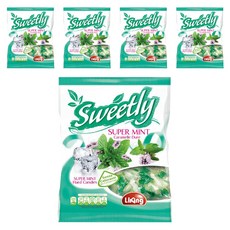 라이킹 슈퍼민트 박하캔디, 500g, 5개