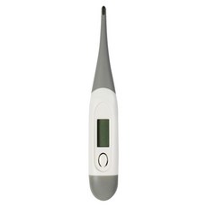 FDK 福達康 電子體溫計 BT-A21CN, 1個