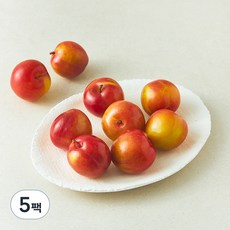 새콤 달콤한 자두(대과), 500g, 5팩