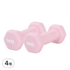 리브스포 논슬립 아령, 1kg, 4개