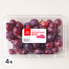 만나다 페루 레드글로브 포도, 900g, 4개
