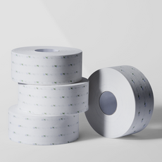 blondy 雙層捲筒衛生紙, 300m, 4捲, 2包